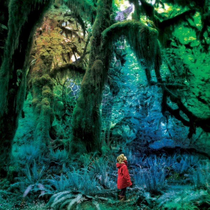 Jacco gardner performs puppets dangling