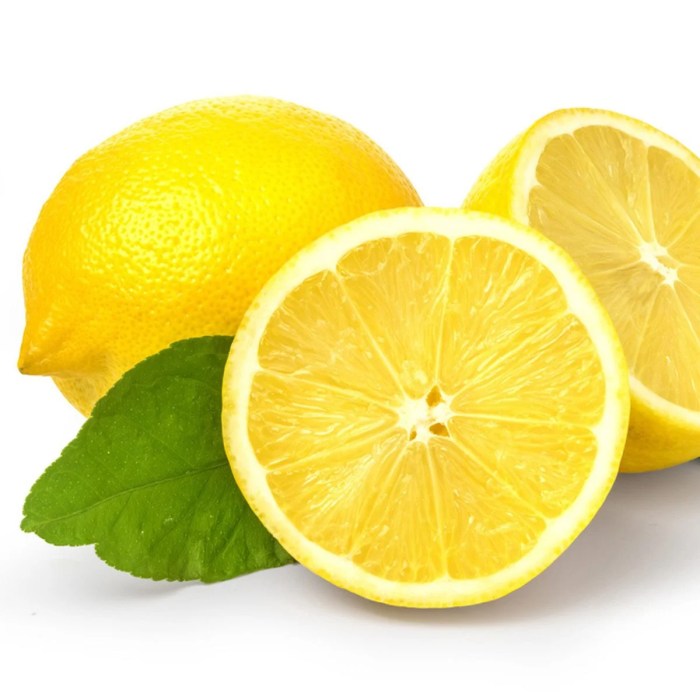 Yellow Lemon PNG – Free Download The lemon twigs songs for the general public