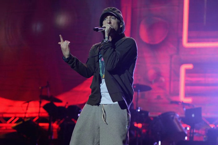 Eminem's 'Stan' makes it to the Merriam Webster dictionary Eminems definition of stan added to merriam webster dictionary
