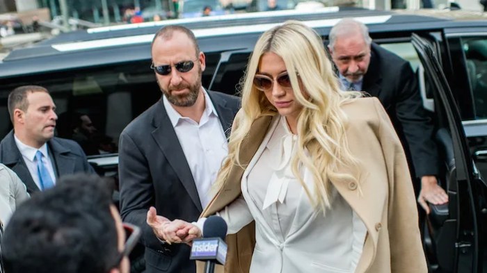 Dr. Luke Drops Defamation Lawsuit Against Kesha's Mom | TMZ.com Dr luke sues keshas mom for libel for the second time
