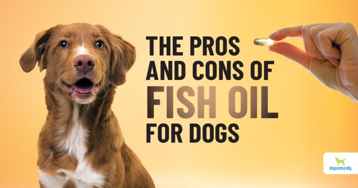 Fish Oil For Dogs - Dogs Naturally Use Fish Oil for Dogs