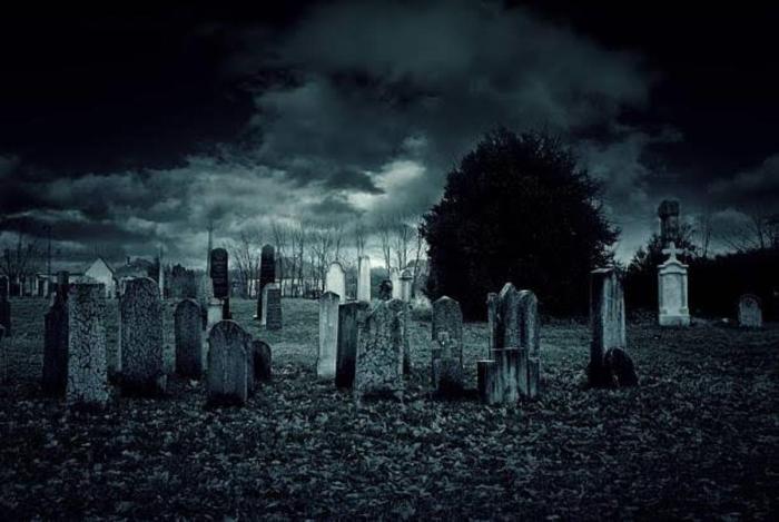 Whos in the Grave A Journey Through Time