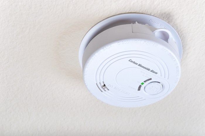 Turn Off Carbon Monoxide Alarm