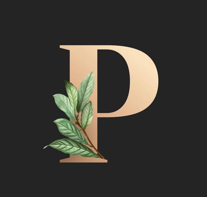El-Ps Instrumentals Album A Deep Dive
