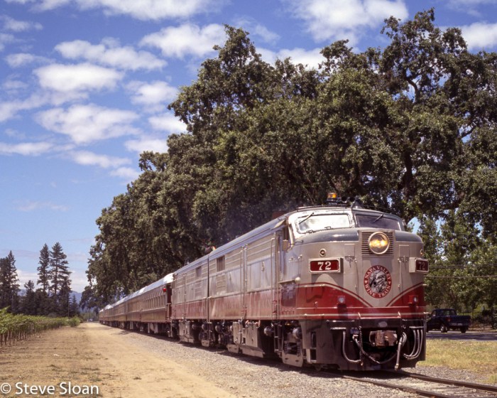 Train a Cat Not to Jump on Your Furniture