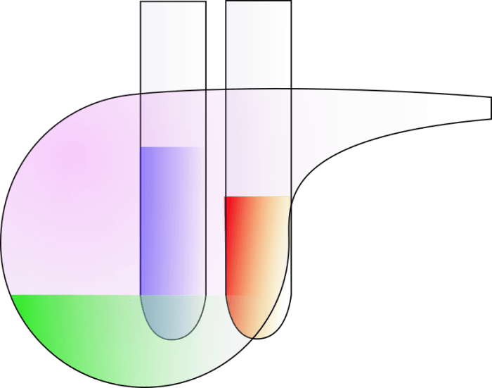 Men Always Fail To Understand This About Women- Sadia Khan #empowerment ... Test Spark Plug Wires