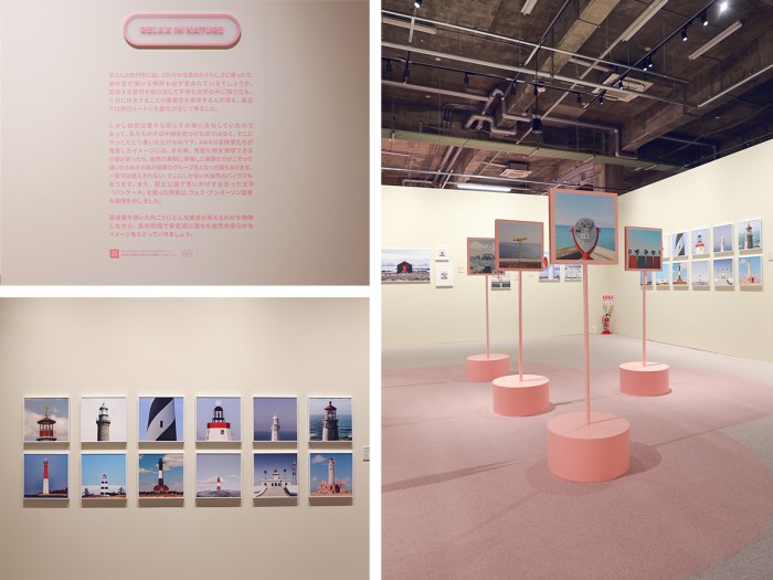Wes anderson co curates new museum exhibit
