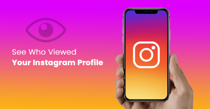 See Profile Views on Instagram