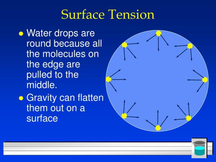 PPT - Chapter 15 PowerPoint Presentation - ID:245553 Beat connection in the water