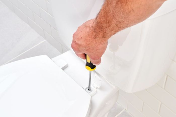 Ideal toilet seat, how to remove? : r/Plumbing Remove a Toilet Seat