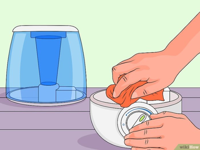 Clean a Cool Mist Humidifier