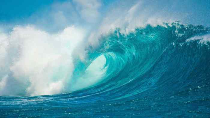 Ocean Moon Ways to the Deep Meadow A Journey