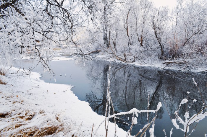 Winter Free Stock Photo - Public Domain Pictures Grieves winter the wolves