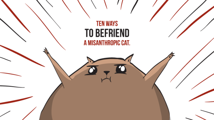 10 ways to befriend a misanthropic cat - The Oatmeal Befriend a Wild Cat or Kitten