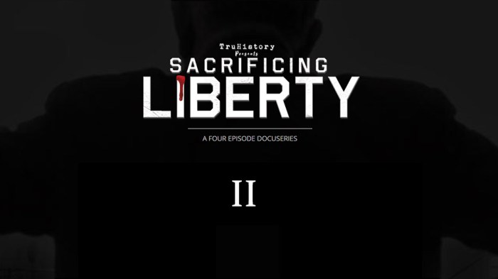 Unauthorized drake documentary released on netflix amazon itunes