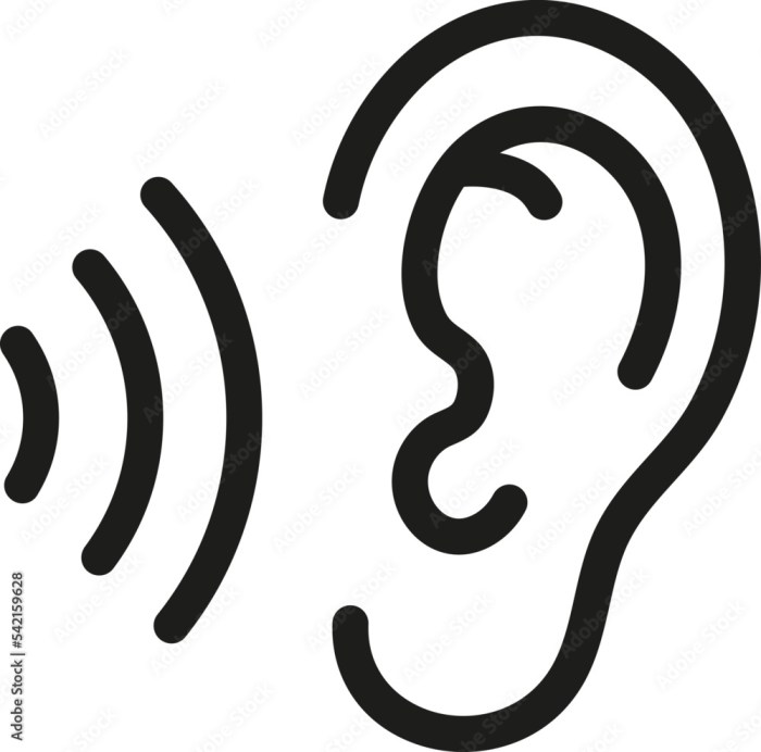 Suiqe sports illustrated new song listen