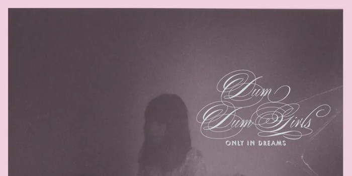 Dum dum girls announce debut lp
