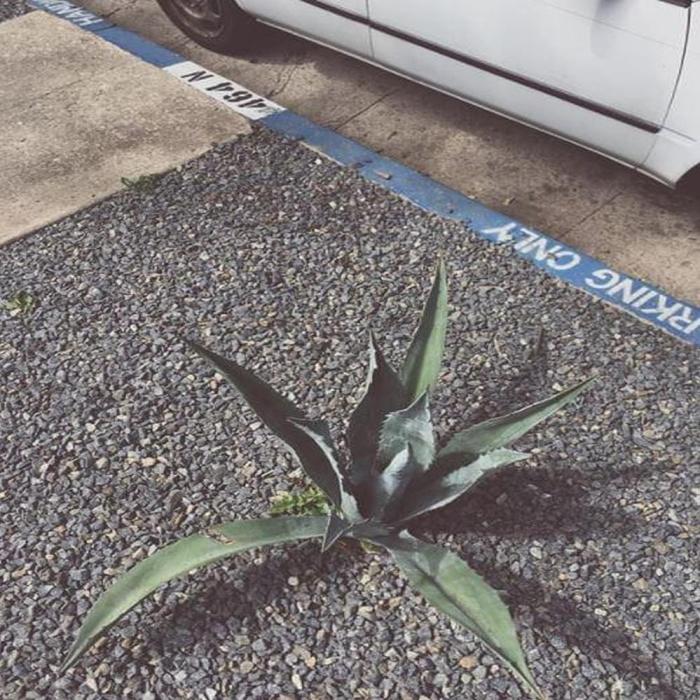 Tyler the creator drops new bring it back remix listen