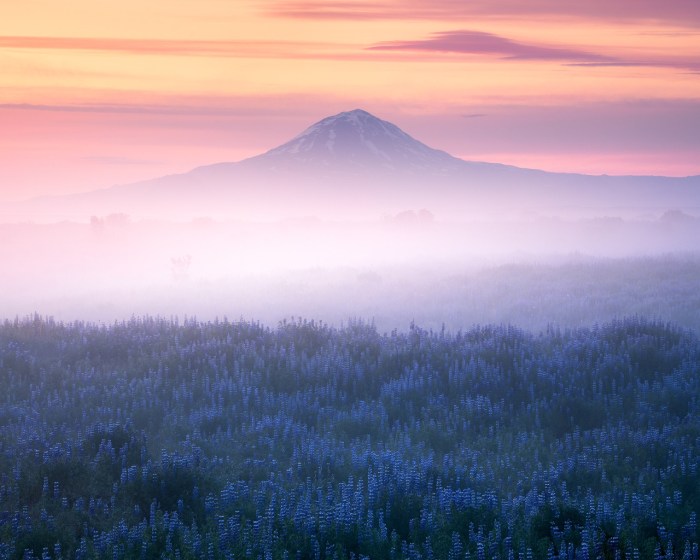 The messthetics the messthetics